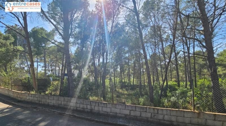 Valencia - Gilet - 2121m2