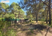 Suelo urbano en venta en la España, Gilet, ref: TR410767 foto