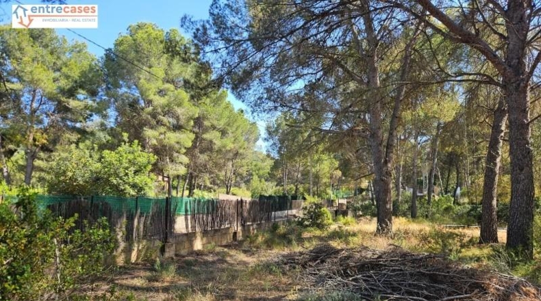 Valencia - Gilet - 2121m2