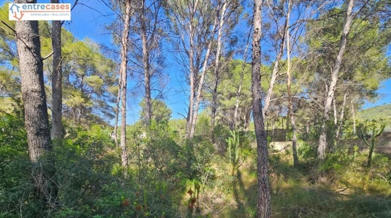 Valencia - Gilet - 2121m2