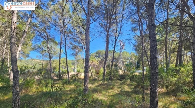 Valencia - Gilet - 2121m2