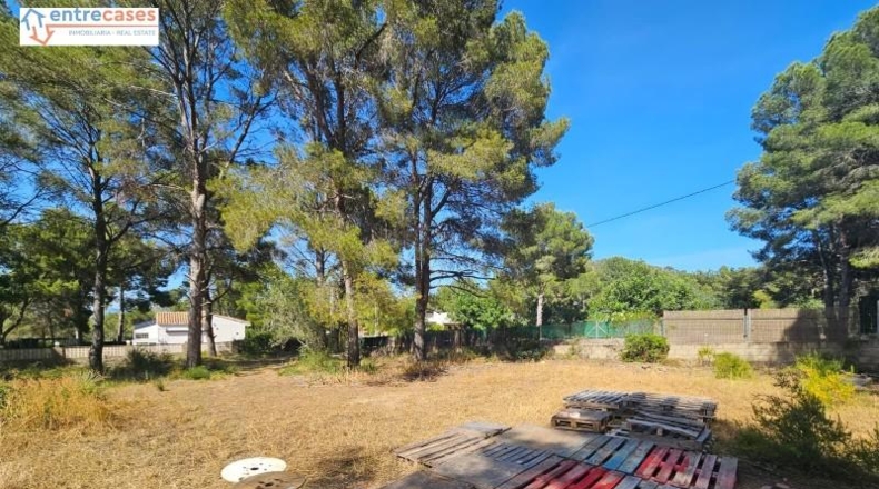 Valencia - Gilet - 2121m2