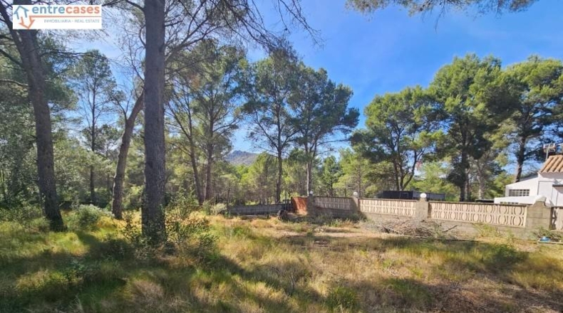 Valencia - Gilet - 2121m2