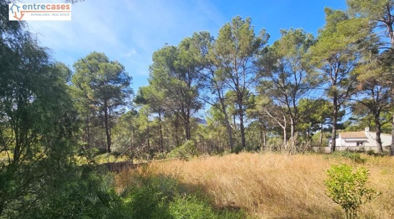 Valencia - Gilet - 2121m2