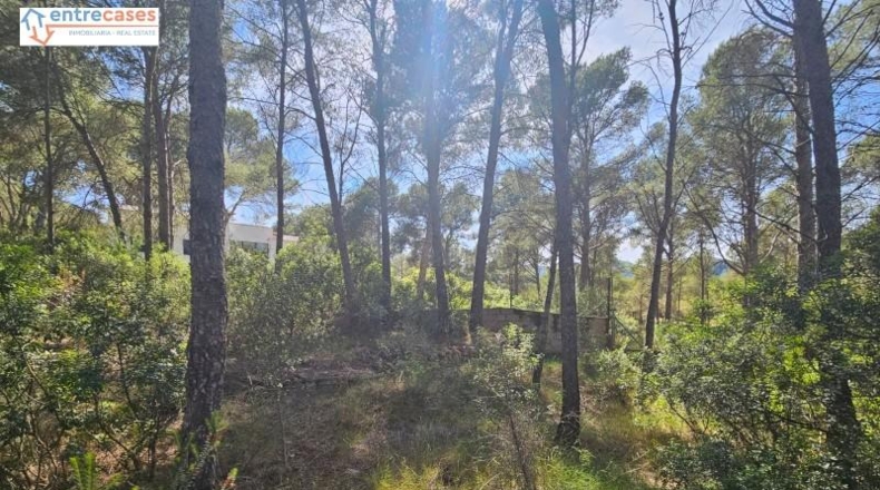 Valencia - Gilet - 2121m2