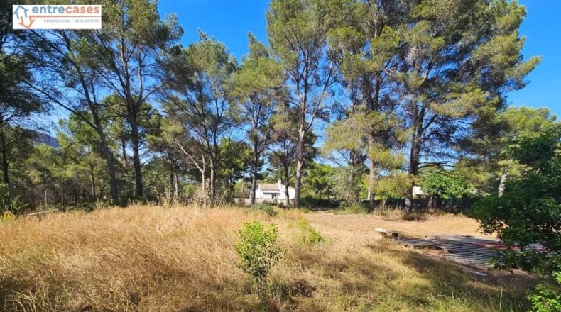 Valencia - Gilet - 2121m2