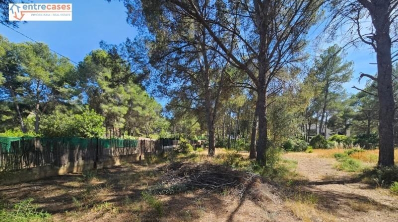 Valencia - Gilet - 2121m2