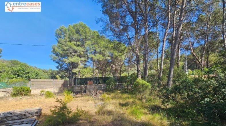 Valencia - Gilet - 2121m2