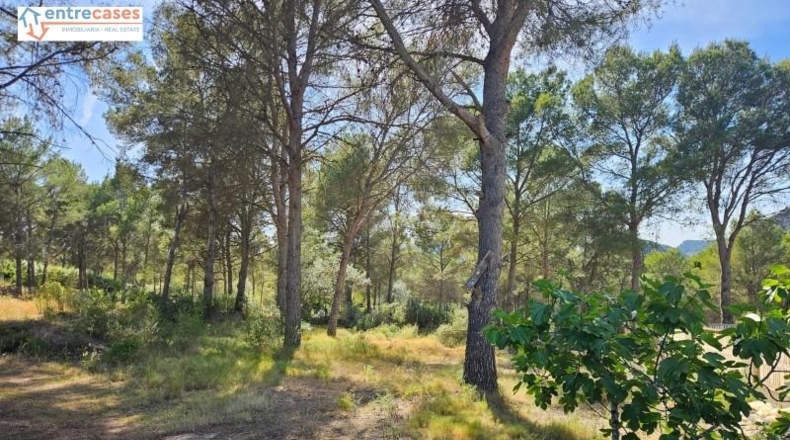 Valencia - Gilet - 2121m2