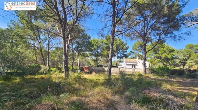 Valencia - Gilet - 2121m2