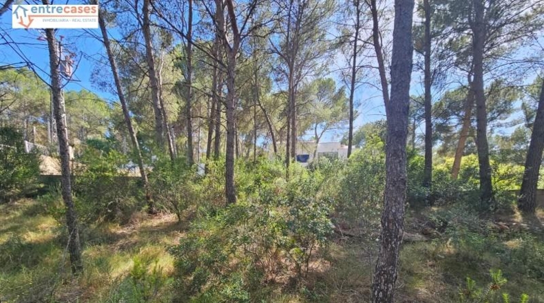 Valencia - Gilet - 2121m2