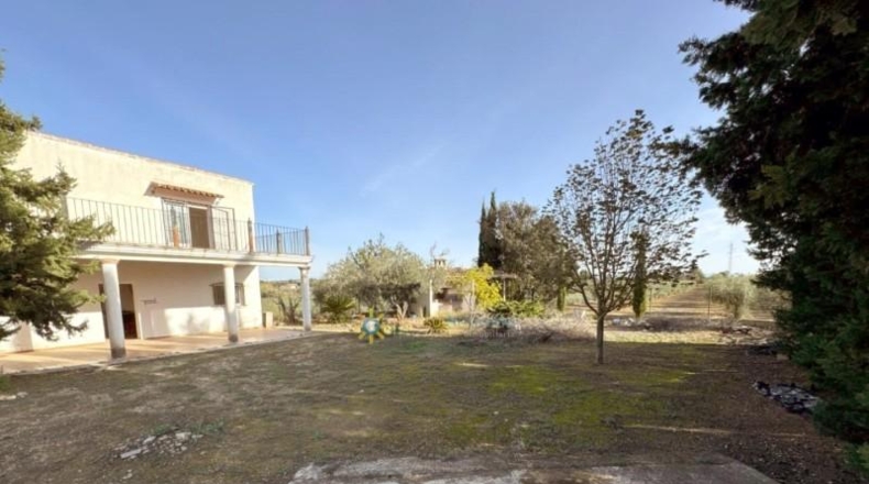 Valencia - Эль-Паломар - 40890m2