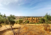 Finca rústica en venta en la España, Montoro, ref: TR415949 foto