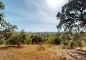 Finca rústica en venta en la España, Montoro, ref: TR415949 foto