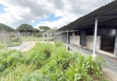 Chalet independiente con terreno en venta en la España, Punta Umbría, ref: TR400714 foto