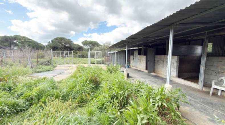 Huelva - Punta Umbría - 3000m2