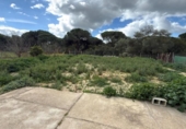 Chalet independiente con terreno en venta en la España, Punta Umbría, ref: TR400714 foto