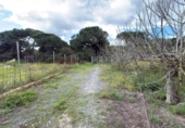 Chalet independiente con terreno en venta en la España, Punta Umbría, ref: TR400714 foto