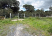 Chalet independiente con terreno en venta en la España, Punta Umbría, ref: TR400714 foto