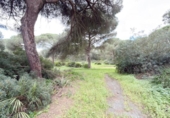 Chalet independiente con terreno en venta en la España, Punta Umbría, ref: TR400714 foto