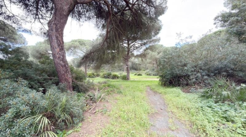 Huelva - Punta Umbría - 3000m2