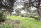 Chalet independiente con terreno en venta en la España, Punta Umbría, ref: TR400714 foto