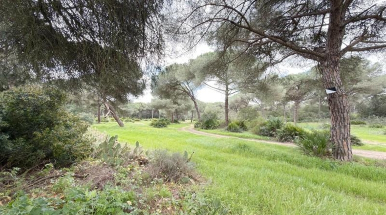 Huelva - Punta Umbría - 3000m2