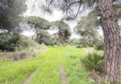Chalet independiente con terreno en venta en la España, Punta Umbría, ref: TR400714 foto