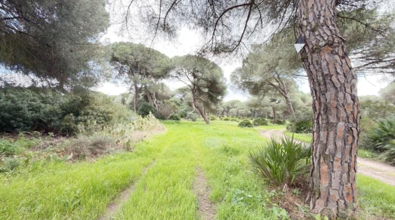 Huelva - Punta Umbría - 3000m2