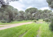 Chalet independiente con terreno en venta en la España, Punta Umbría, ref: TR400714 foto