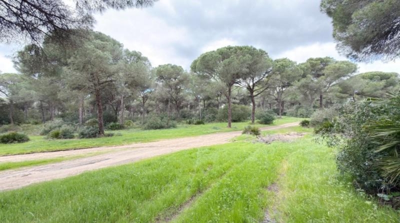 Huelva - Punta Umbría - 3000m2