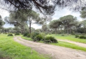 Chalet independiente con terreno en venta en la España, Punta Umbría, ref: TR400714 foto