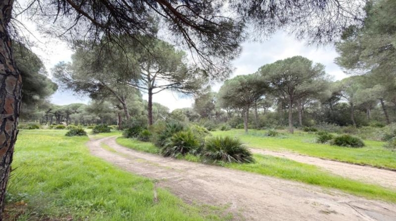 Huelva - Punta Umbría - 3000m2