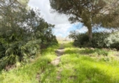 Chalet independiente con terreno en venta en la España, Punta Umbría, ref: TR400714 foto