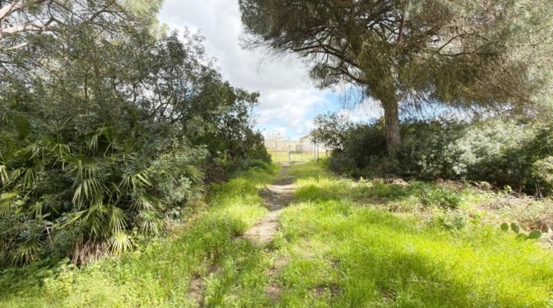 Huelva - Punta Umbría - 3000m2