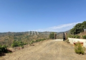 Detached villa with land for sale on España, Almáchar, ref: TR415951 photo