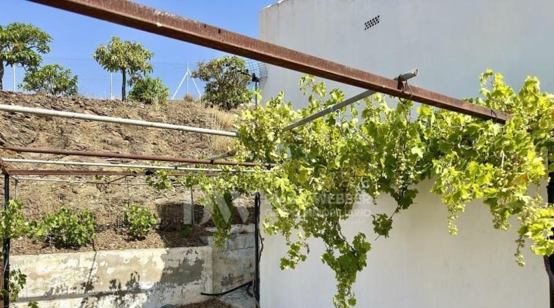 Malaga - Almáchar - 2900m2
