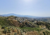 Detached villa with land for sale on España, Almáchar, ref: TR415951 photo