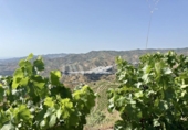 Detached villa with land for sale on España, Almáchar, ref: TR415951 photo