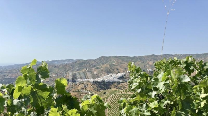 Malaga - Almáchar - 2900m2
