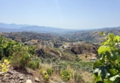 Detached villa with land for sale on España, Almáchar, ref: TR415951 photo