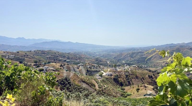 Malaga - Almáchar - 2900m2