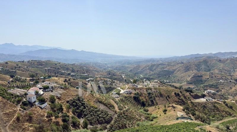 Malaga - Almáchar - 2900m2