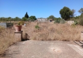 Finca rústica en venta en la España, Consell, ref: TR415952 foto