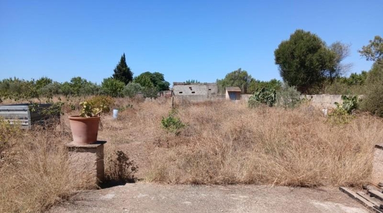 Balearic Islands - Consell - 9694m2