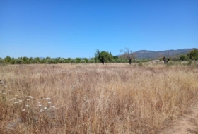 Consell 9694&nbsp;m²