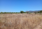 Finca rústica en venta en la España, Consell, ref: TR415952 foto
