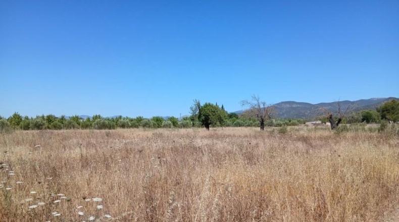 Balearic Islands - Consell - 9694m2