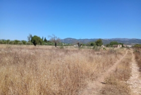 Consell 9694&nbsp;m²