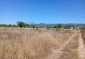 Finca rústica en venta en la España, Consell, ref: TR415952 foto